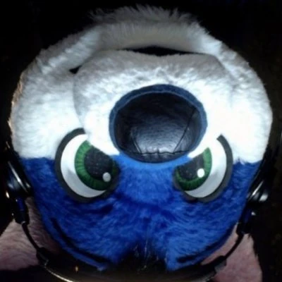 Blue fox Marvin